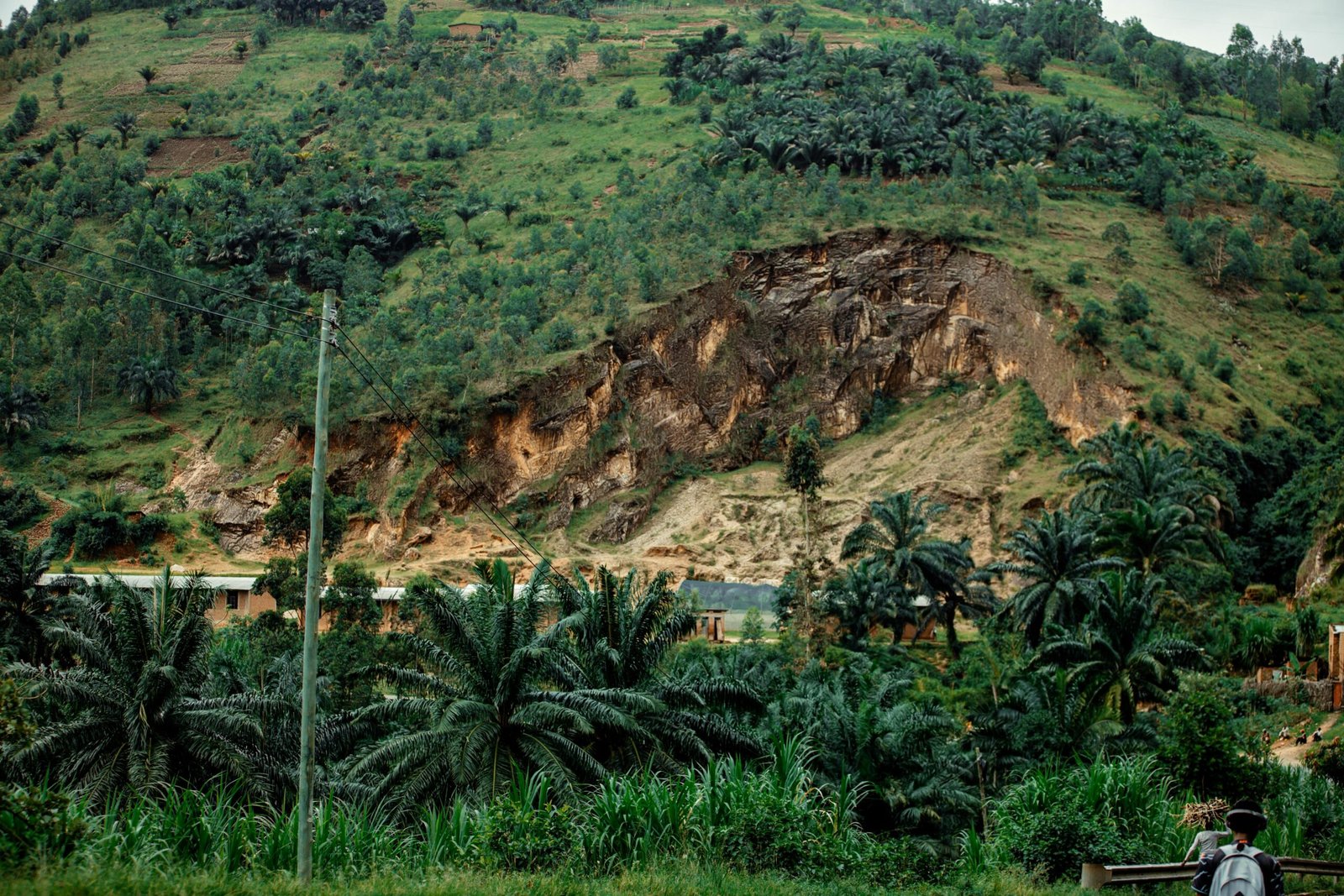 A scenic view of a hillside with visible erosion, surrounded by lush greenery and palm trees.